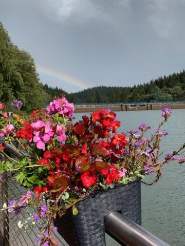 Holidayhaus-Luetsche / Wohnung Schmuecke Frankenhain Buitenkant foto
